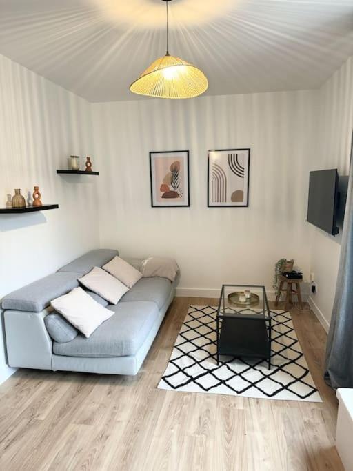 Appartement Eloi - 1 Chambre Мон-де-Марсан Экстерьер фото